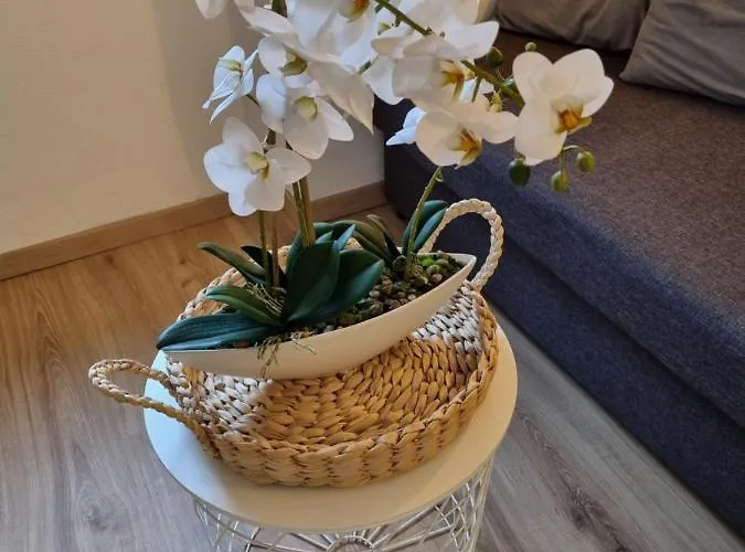 Seebachhof Daire Edlbach