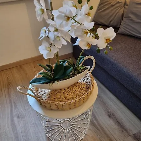Seebachhof Apartment Edlbach